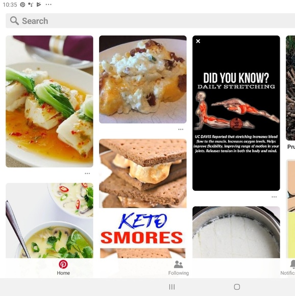 Meet your Posher, Sandi - Picture 1 of 1